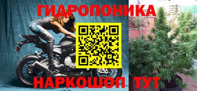 тгк Славгород