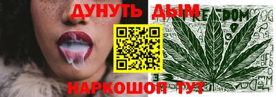 тгк Славгород