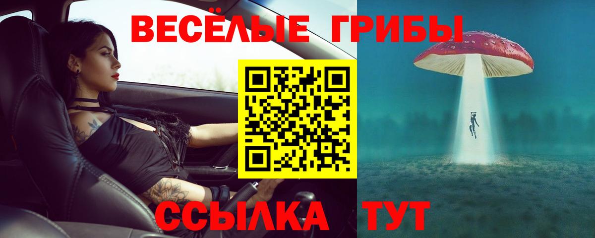 Псилоцибиновые грибы мухоморы  Псилоцибиновые грибы мухоморы  как найти закладки  Вход с VPN  Нижнеудинск 